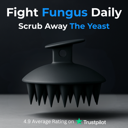 Stronghold Beard Brush